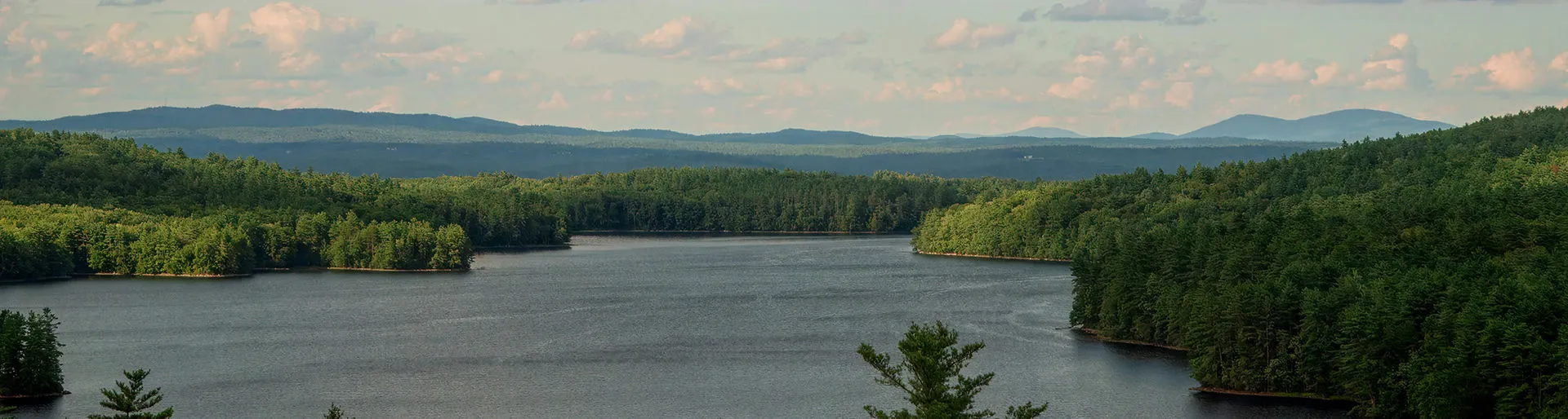 Lakeside landscape
