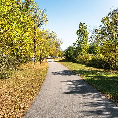 A road with trees on either side